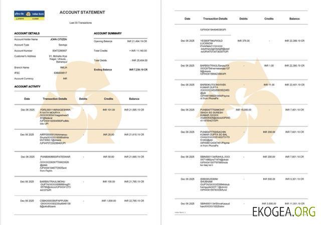 Relevé de compte de l'Indian Bank Allahabad Modèle Word et PDF, 2 pages